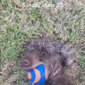 Meet your Posher, Madeline